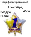 Звезда Ф 18" РУС 1 СЕНТЯБРЯ Листья - фото 45637
